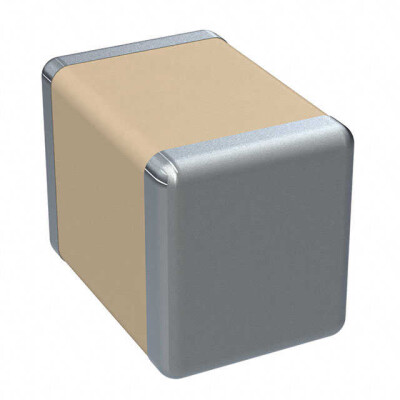 0.1 µF ±10% 100V Ceramic Capacitor X7R 1210 (3225 Metric) - 1