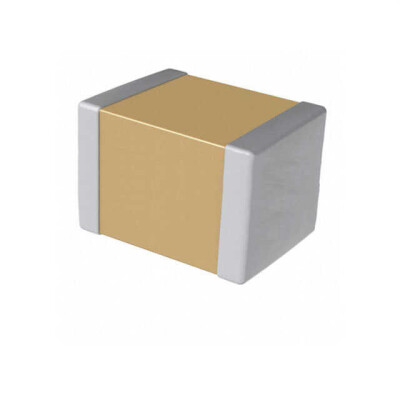 2.2 µF ±10% 100V Ceramic Capacitor X7R 1210 (3225 Metric) - 1