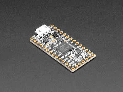 ATSAMD21 ItsyBitsy M0 Express series ARM® Cortex®-M0+ MCU 32-Bit Embedded Evaluation Board - 1