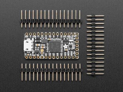 ATSAMD21 ItsyBitsy M0 Express series ARM® Cortex®-M0+ MCU 32-Bit Embedded Evaluation Board - 3