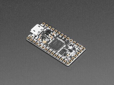 ATSAMD51G19A ItsyBitsy M4 Express SAM D ARM® Cortex®-M4 MCU 32-Bit Embedded Evaluation Board - 1