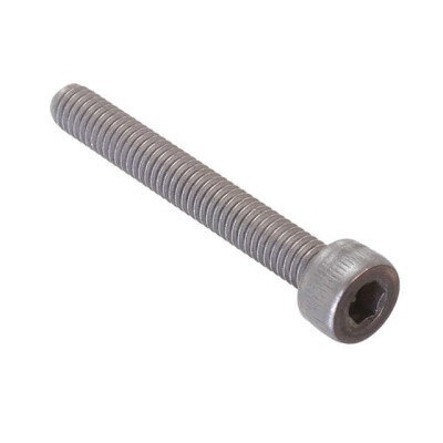 M3x0.5 Cheese Head Bolt Hex Drive Titanium - 1