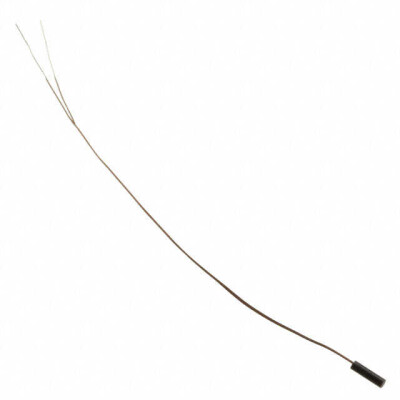 NTC Thermistor 10k Bead - 1